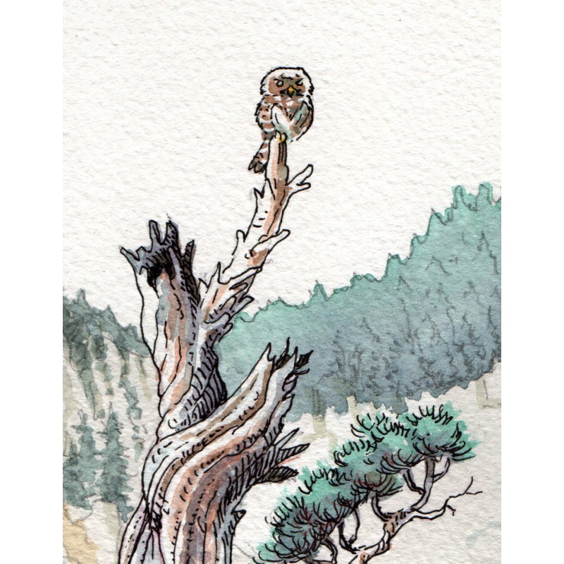 Aquarelle originale - Furtif 01